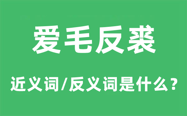 爱毛反裘的近义词和反义词是什么,爱毛反裘是什么意思