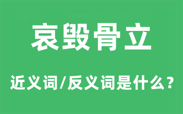 哀毁骨立的近义词和反义词是什么,哀毁骨立是什么意思