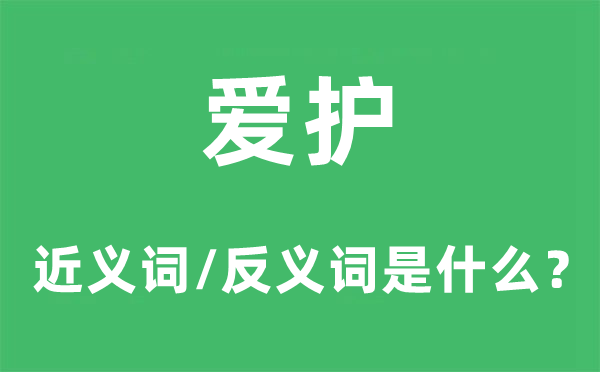 爱护的近义词和反义词是什么,爱护是什么意思