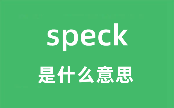 speck是什么意思,speck怎么读,中文翻译是什么