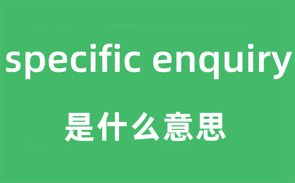 specific enquiry是什么意思,中文翻译是什么