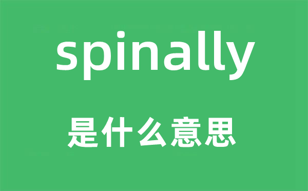 spinally是什么意思,spinally怎么读,中文翻译是什么