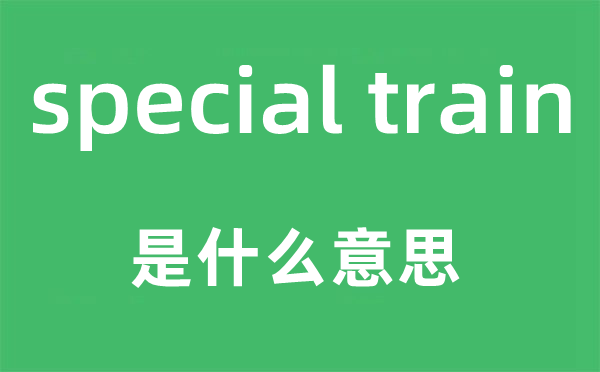 special train是什么意思,中文翻译是什么