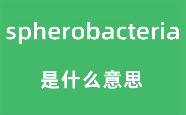 spherobacteria是什么意思,spherobacteria怎么读,中文翻译是什么