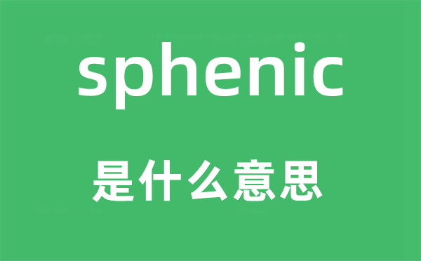 sphenic是什么意思,sphenic怎么读,中文翻译是什么