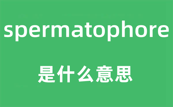 spermatophore是什么意思,spermatophore怎么读,中文翻译是什么