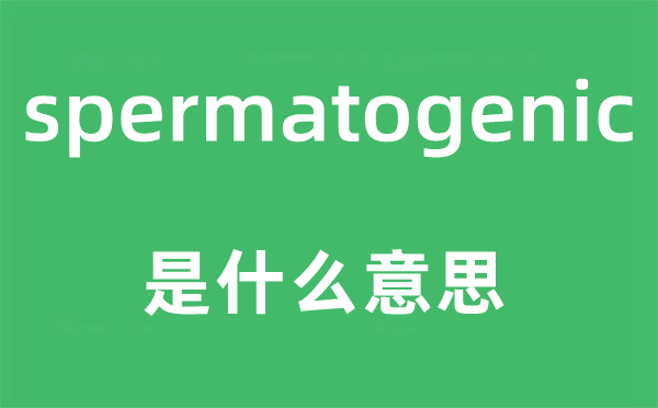 spermatogenic是什么意思,spermatogenic怎么读,中文翻译是什么