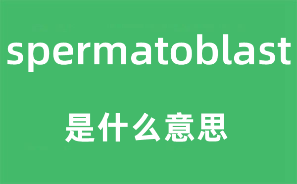 spermatoblast是什么意思,spermatoblast怎么读,中文翻译是什么