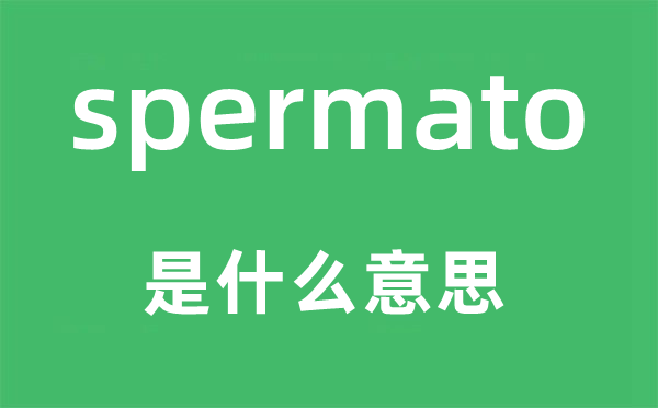 spermato是什么意思,spermato怎么读,中文翻译是什么