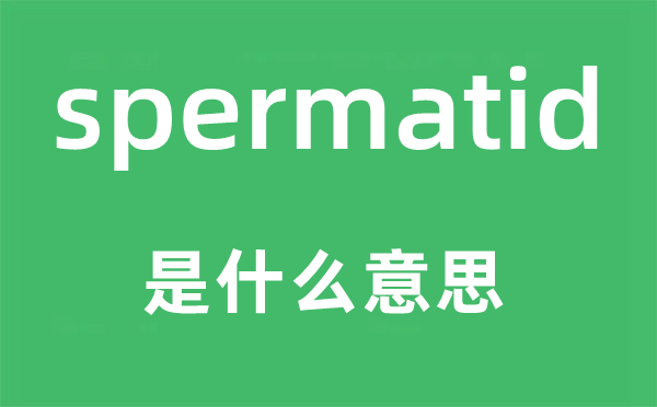 spermatid是什么意思,spermatid怎么读,中文翻译是什么