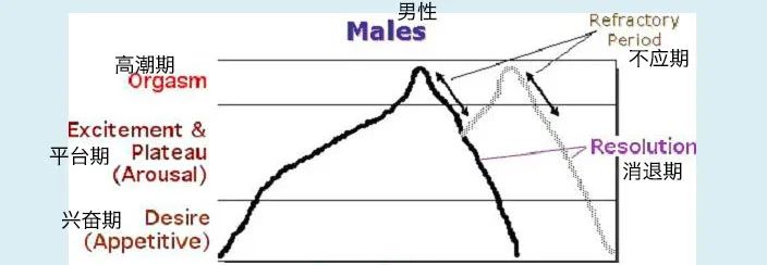 贤者时间是什么意思,圣人模式是什么意思,一般多久