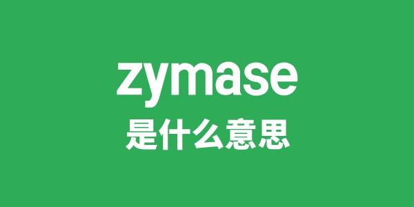 zymase是什么意思