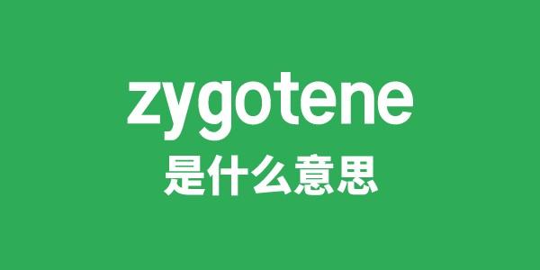 zygotene是什么意思