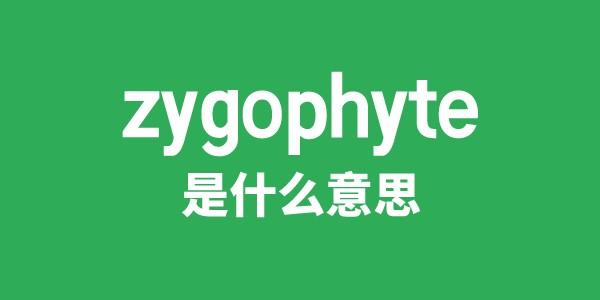 zygophyte是什么意思