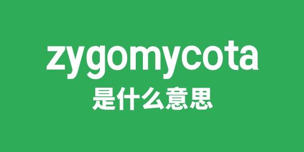 zygomycota是什么意思