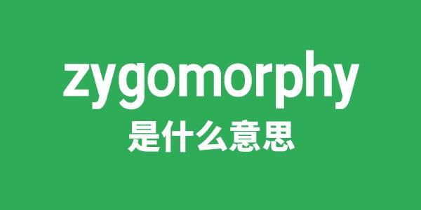 zygomorphy是什么意思