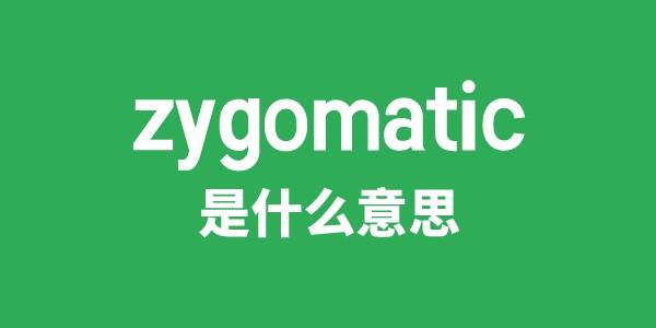 zygomatic是什么意思