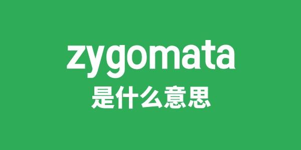 zygomata是什么意思