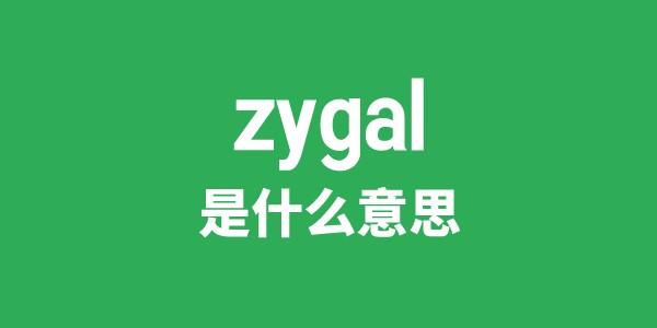 zygal是什么意思