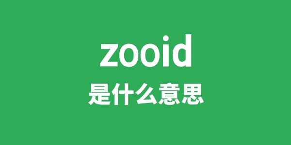 zooid是什么意思