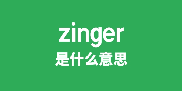 zinger是什么意思