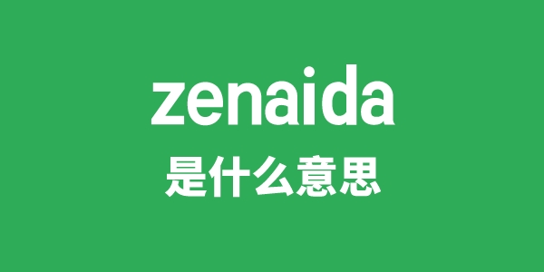 zenaida是什么意思