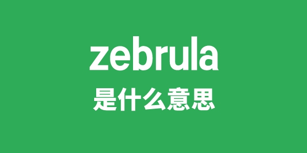 zebrula是什么意思