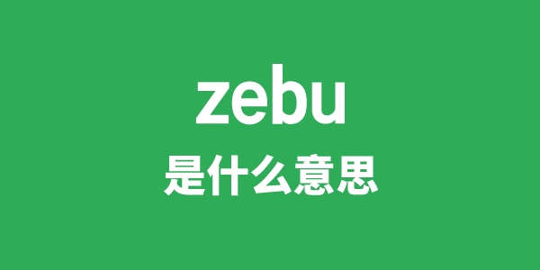 zebu是什么意思