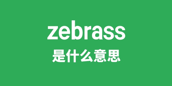 zebrass是什么意思