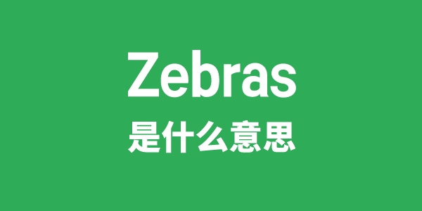 Zebras是什么意思