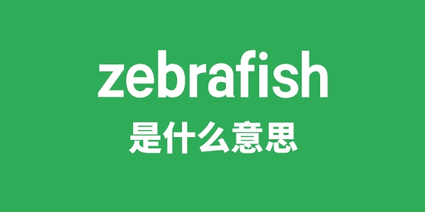 zebrafish是什么意思