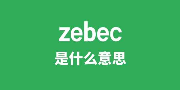 zebec是什么意思