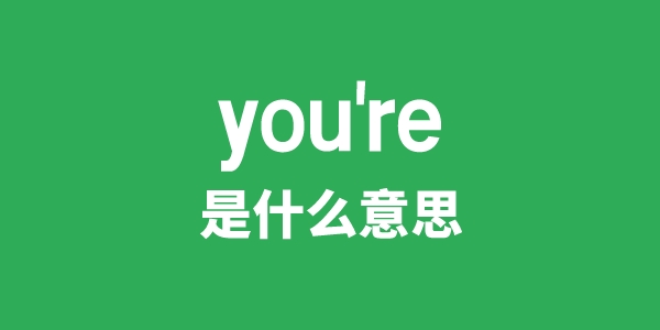 you're是什么意思