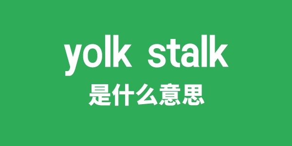 yolk stalk是什么意思