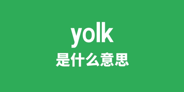 yolk是什么意思