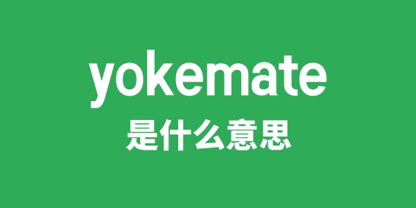 yokemate是什么意思