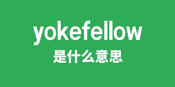 yokefellow是什么意思