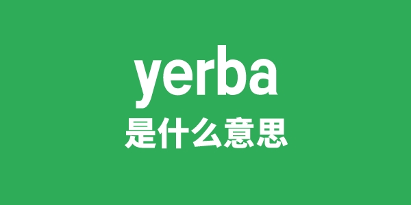 yerba是什么意思