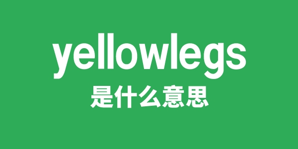 yellowlegs是什么意思