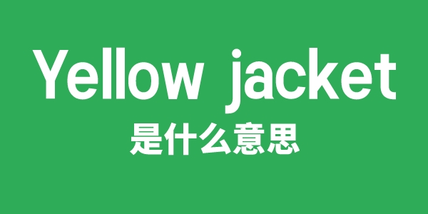 Yellow jacket是什么意思