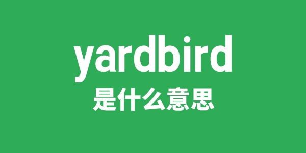 yardbird是什么意思