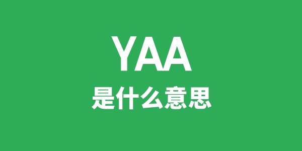 YAA是什么意思