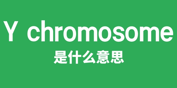 Y chromosome是什么意思