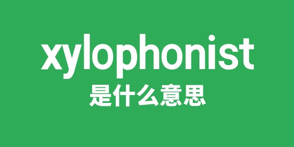 xylophonist是什么意思