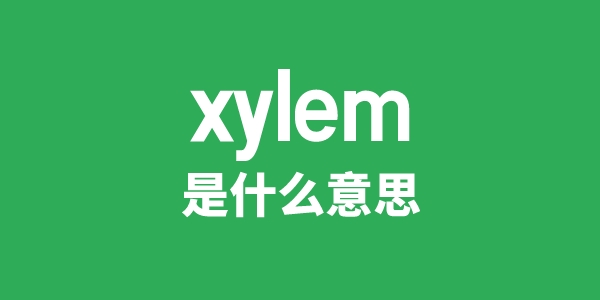 xylem是什么意思