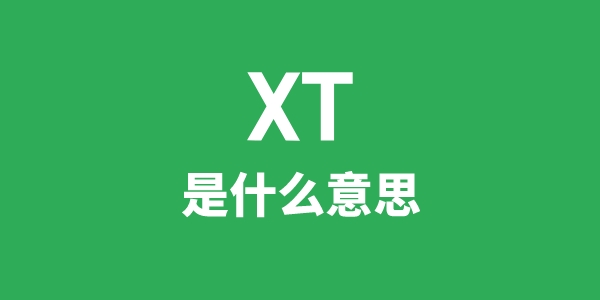 XT是什么意思