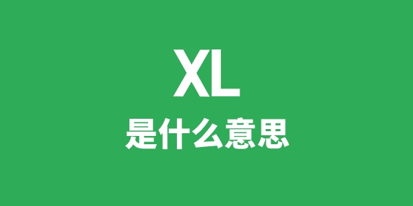 XL是什么意思