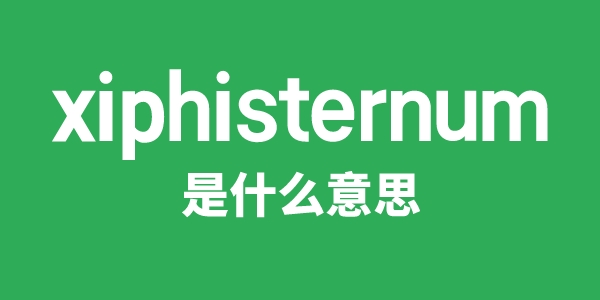 xiphisternum是什么意思