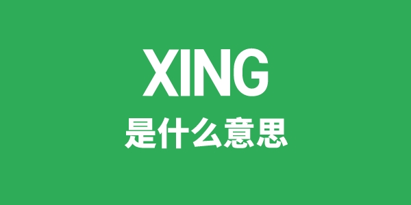 XING是什么意思