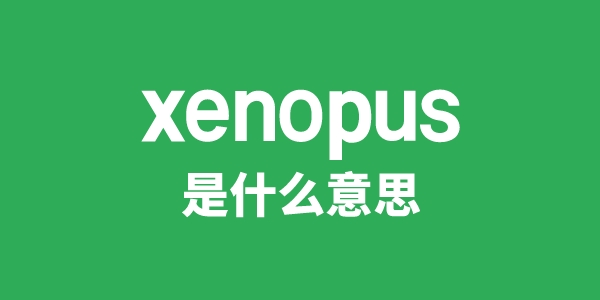 xenopus是什么意思